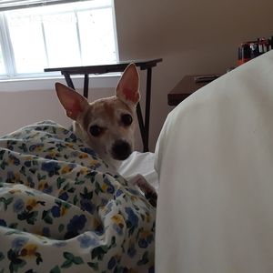 Meet your Posher, Cheryl